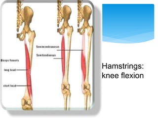 Osteoarthritis | PDF