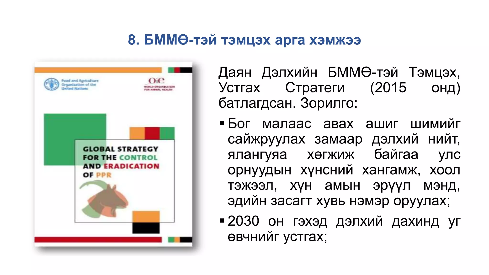 8. БММӨ-тэй тэмцэх арга хэмжээ
Даян Дэлхийн БММӨ-тэй Тэмцэх,
Устгах Стратеги (2015 онд)
батлагдсан. Зорилго:
 Бог малаас авах ашиг шимийг
сайжруулах замаар дэлхий нийт,
ялангуяа хөгжиж байгаа улс
орнуудын хүнсний хангамж, хоол
тэжээл, хүн амын эрүүл мэнд,
эдийн засагт хувь нэмэр оруулах;
 2030 он гэхэд дэлхий дахинд уг
өвчнийг устгах;
 