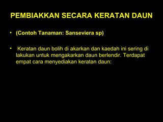 PEMBIAKKAN SECARA KERATAN DAUN  (Contoh Tanaman: Sanseviera sp)  Keratan daun bolih di akarkan dan kaedah ini sering di lakukan untuk mengakarkan daun berlendir. Terdapat empat cara menyediakan keratan daun: 