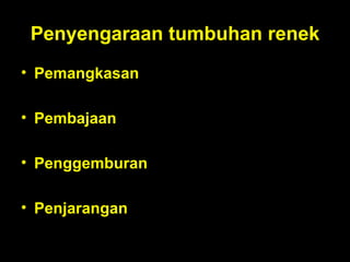 Penyengaraan tumbuhan renek Pemangkasan Pembajaan Penggemburan Penjarangan . 