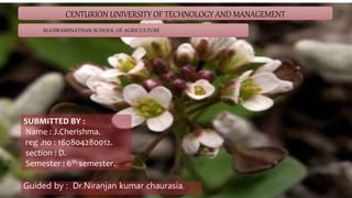 CENTURION UNIVERSITY OF TECHNOLOGY AND MANAGEMENT
M.S.SWAMINATHAN SCHOOL OF AGRICULTURE
SUBMITTED BY :
Name : J.Cherishma.
reg .no : 180804280012.
section : D.
Semester : 6th semester.
Guided by : Dr.Niranjan kumar chaurasia.
 