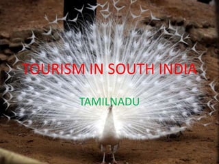 TOURISM IN SOUTH INDIA TAMILNADU 