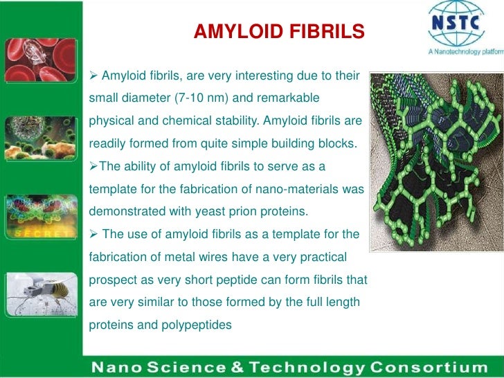 Classification of Bionanomaterials slideshare - 웹