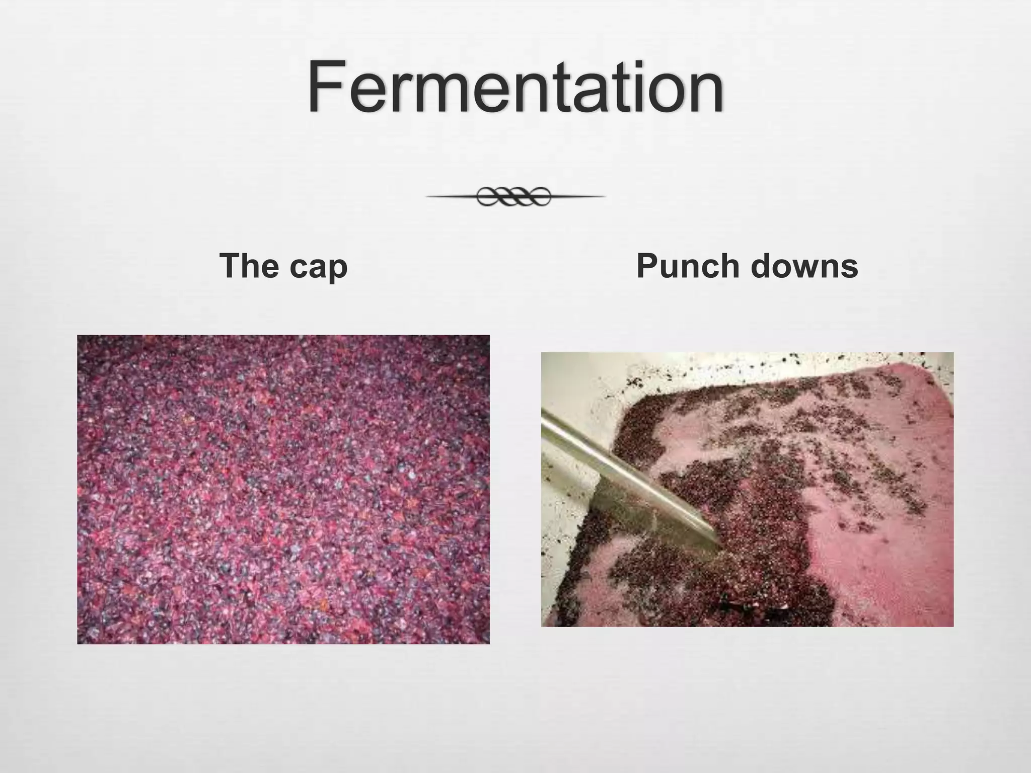 FermentationThe capPunch downs