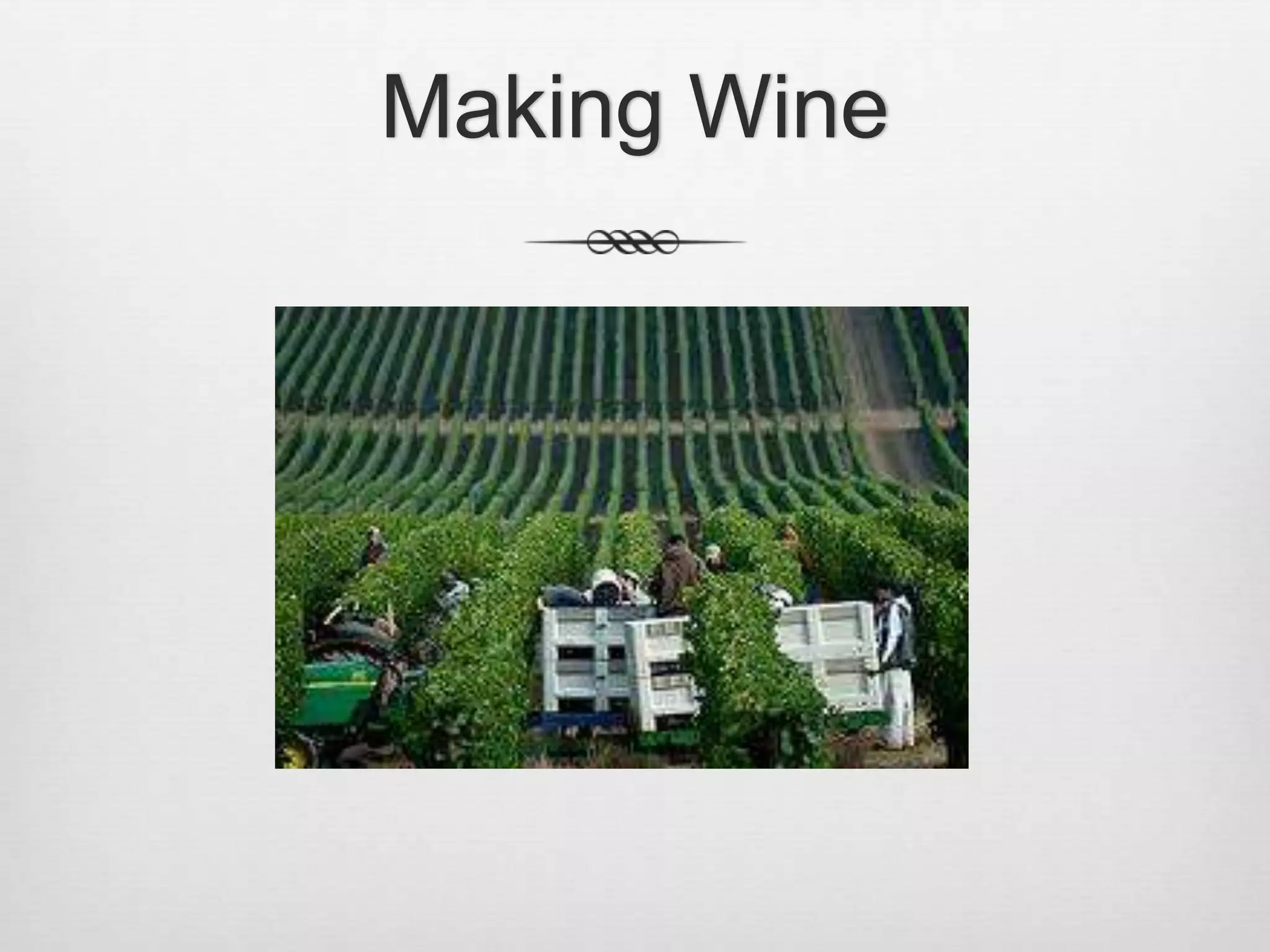 Making Wine