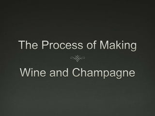 The Process of Making Wine and Champagne 