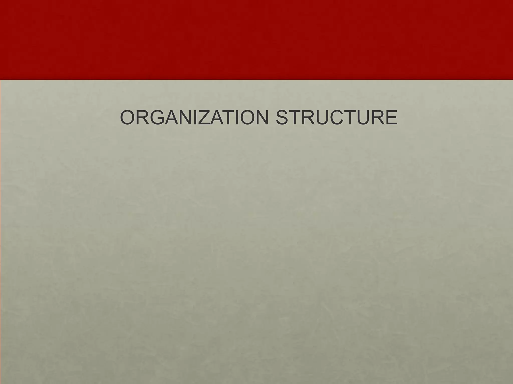 ORGANIZATION STRUCTURE
 