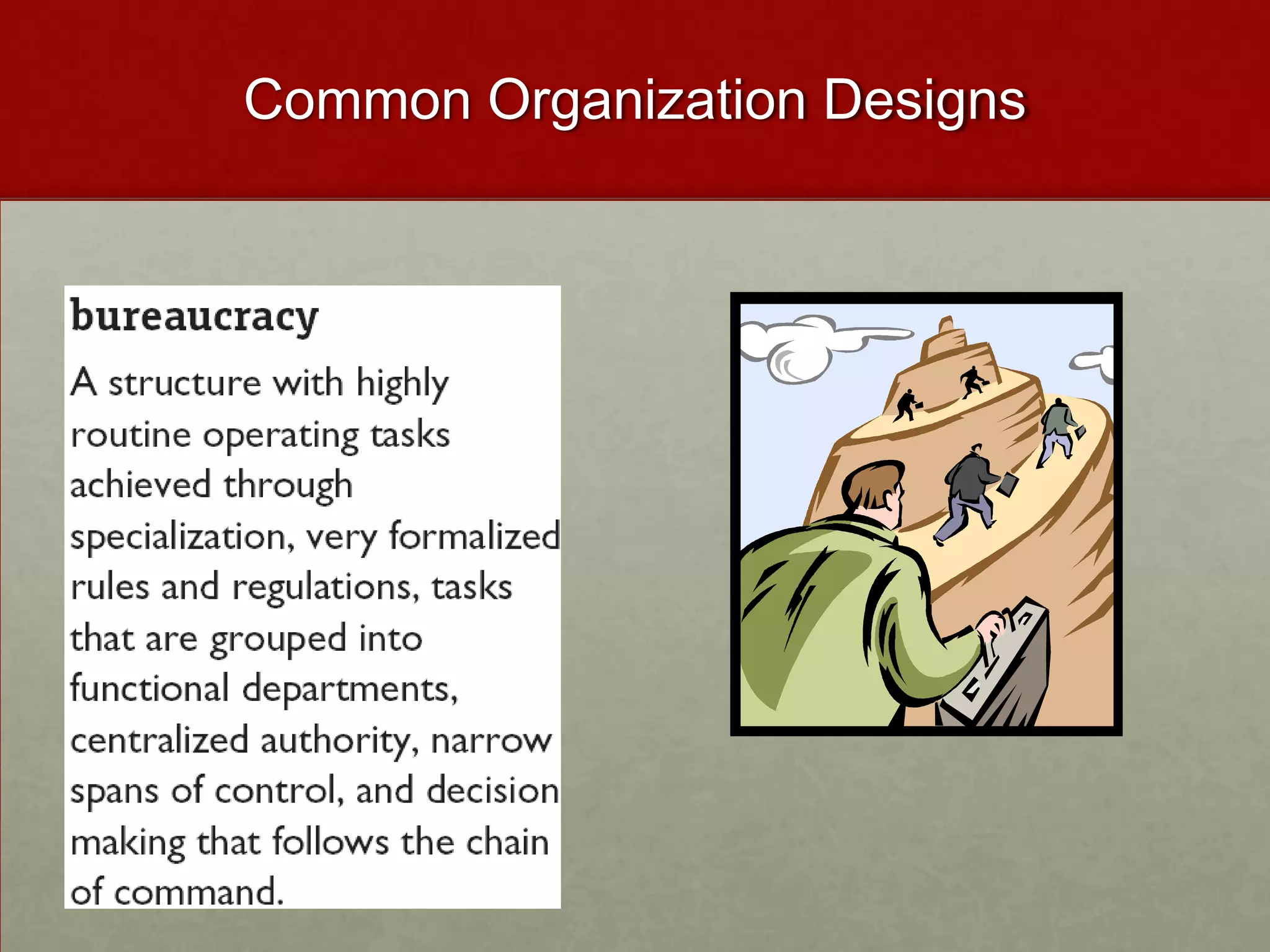 Common Organization Designs
 