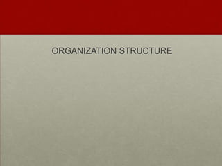 ORGANIZATION STRUCTURE
 