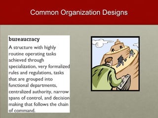 Common Organization Designs
 