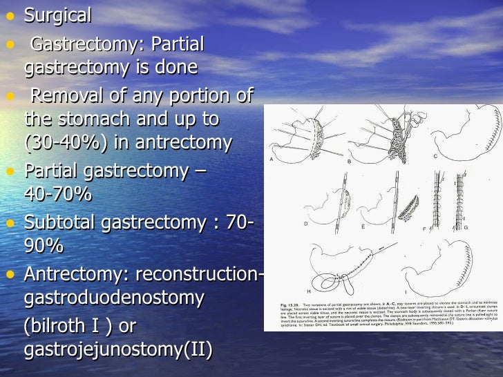Veterinary Gastrointestinal surgery PartIII