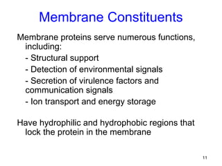 Membrane Constituents
Membrane proteins serve numerous functions,
 including:
 - Structural support
 - Detection of environmental signals
 - Secretion of virulence factors and
 communication signals
 - Ion transport and energy storage

Have hydrophilic and hydrophobic regions that
 lock the protein in the membrane

                                                11
 