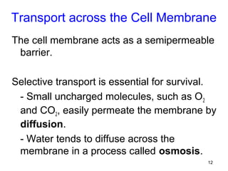 Transport across the Cell Membrane
The cell membrane acts as a semipermeable
 barrier.

Selective transport is essential for survival.
 - Small uncharged molecules, such as O 2
 and CO2, easily permeate the membrane by
 diffusion.
 - Water tends to diffuse across the
 membrane in a process called osmosis.
                                            12
 