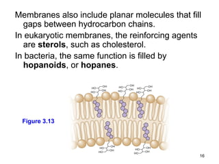 Membranes also include planar molecules that fill
  gaps between hydrocarbon chains.
In eukaryotic membranes, the reinforcing agents
  are sterols, such as cholesterol.
In bacteria, the same function is filled by
  hopanoids, or hopanes.




 Figure 3.13




                                                16
 