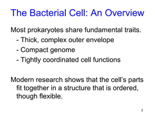 The Bacterial Cell: An Overview
Most prokaryotes share fundamental traits.
 - Thick, complex outer envelope
 - Compact genome
 - Tightly coordinated cell functions

Modern research shows that the cell’s parts
 fit together in a structure that is ordered,
 though flexible.
                                             2
 