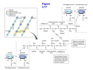 Figure
3.17




         20
 