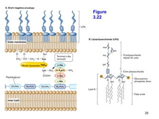 Figure
3.22




         25
 