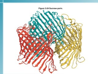 Figure 3-24 Sucrose porin.




                             28
 