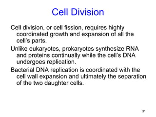 Cell Division
Cell division, or cell fission, requires highly
  coordinated growth and expansion of all the
  cell’s parts.
Unlike eukaryotes, prokaryotes synthesize RNA
  and proteins continually while the cell’s DNA
  undergoes replication.
Bacterial DNA replication is coordinated with the
  cell wall expansion and ultimately the separation
  of the two daughter cells.



                                                 31
 