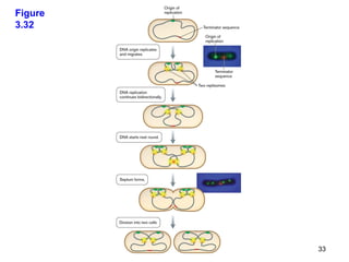 Figure
3.32




         33
 