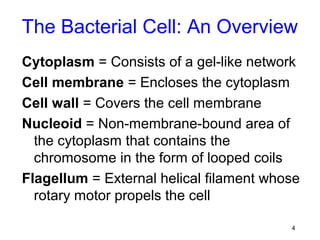 The Bacterial Cell: An Overview
Cytoplasm = Consists of a gel-like network
Cell membrane = Encloses the cytoplasm
Cell wall = Covers the cell membrane
Nucleoid = Non-membrane-bound area of
  the cytoplasm that contains the
  chromosome in the form of looped coils
Flagellum = External helical filament whose
  rotary motor propels the cell

                                         4
 