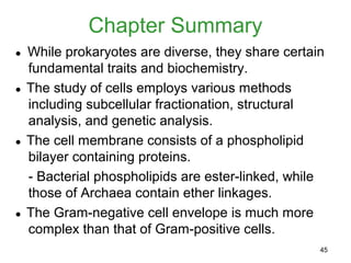 Chapter Summary
●   While prokaryotes are diverse, they share certain
    fundamental traits and biochemistry.
●   The study of cells employs various methods
    including subcellular fractionation, structural
    analysis, and genetic analysis.
●   The cell membrane consists of a phospholipid
    bilayer containing proteins.
    - Bacterial phospholipids are ester-linked, while
    those of Archaea contain ether linkages.
●   The Gram-negative cell envelope is much more
    complex than that of Gram-positive cells.
                                                    45
 