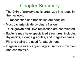 Chapter Summary
●   The DNA of prokaryotes is organized into loops in
    the nucleoid.
    - Transcription and translation are coupled.
●   Most bacteria divide by binary fission.
    - Cell growth and DNA replication are coordinated.
●   Bacteria may have specialized structures, including
    thylakoids, storage granules, and magnetosomes.
●   Pili and stalks are used for attachment.
●   Flagella are rotary appendages used for movement
    and chemotaxis.

                                                    46
 