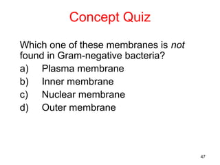 Concept Quiz
Which one of these membranes is not
found in Gram-negative bacteria?
a) Plasma membrane
b) Inner membrane
c) Nuclear membrane
d) Outer membrane



                                      47
 