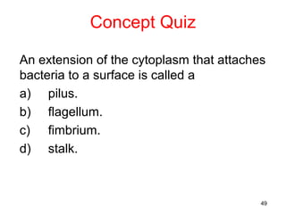 Concept Quiz

An extension of the cytoplasm that attaches
bacteria to a surface is called a
a) pilus.
b) flagellum.
c) fimbrium.
d) stalk.



                                          49
 