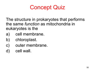 Concept Quiz

The structure in prokaryotes that performs
the same function as mitochondria in
eukaryotes is the
a) cell membrane.
b) chloroplast.
c) outer membrane.
d) cell wall.


                                             50
 