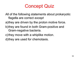 Concept Quiz
All of the following statements about prokaryotic
   flagella are correct except
a)they are driven by the proton motive force.
b)they are found in both Gram-positive and
   Gram-negative bacteria.
c) they move with a whiplike motion.
d)they are used for chemotaxis.




                                                    52
 