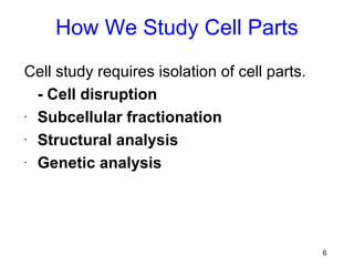 How We Study Cell Parts
Cell study requires isolation of cell parts.
  - Cell disruption
- Subcellular fractionation

- Structural analysis

- Genetic analysis




                                               6
 