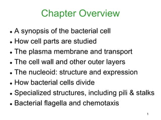 Chapter Overview
● A synopsis of the bacterial cell
● How cell parts are studied

● The plasma membrane and transport

● The cell wall and other outer layers

● The nucleoid: structure and expression

● How bacterial cells divide

● Specialized structures, including pili & stalks

● Bacterial flagella and chemotaxis

                                              1
 
