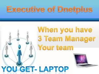 Dnetplus