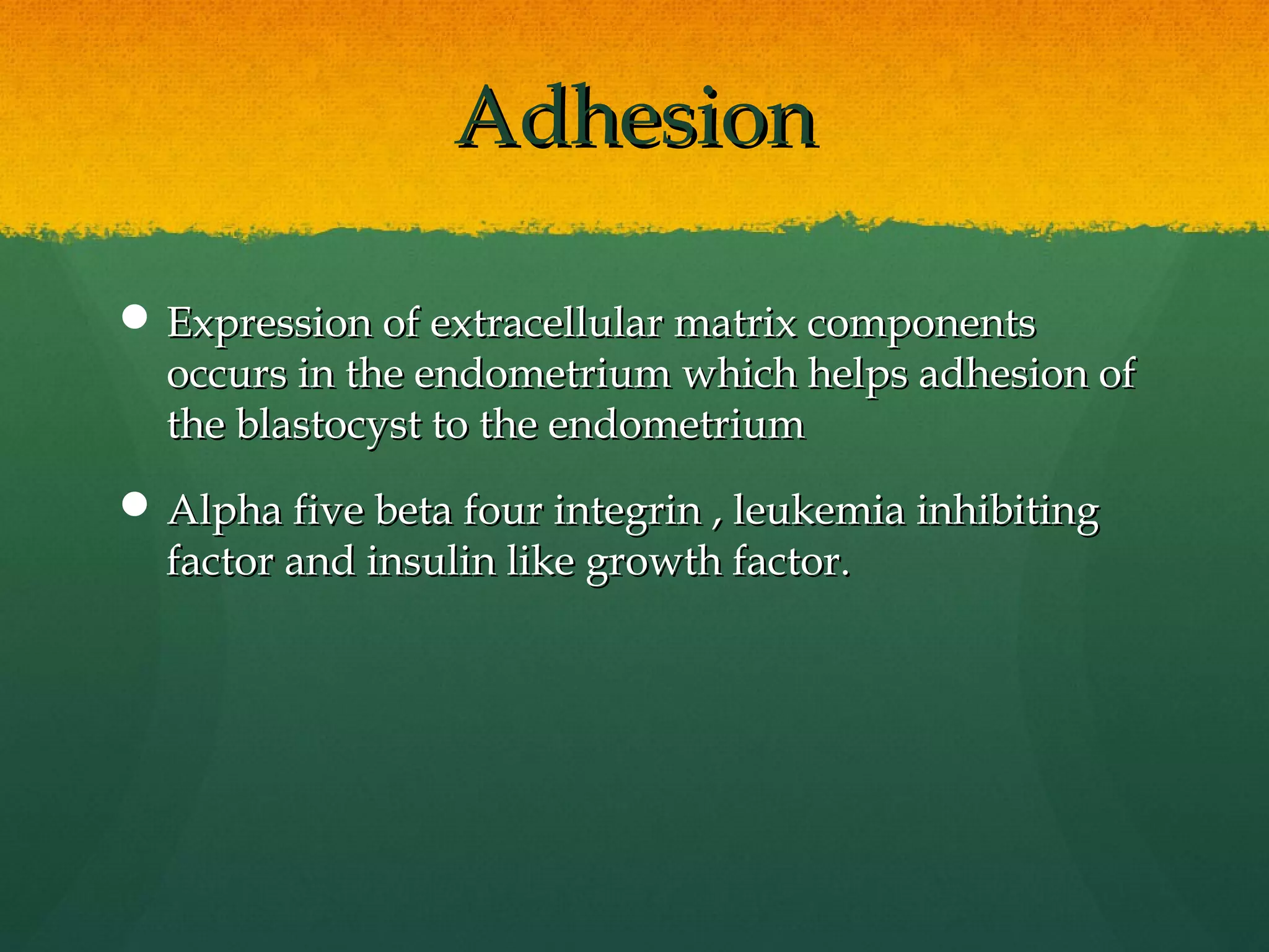 Adhesion

 Expression of extracellular matrix components
  occurs in the endometrium which helps adhesion of
  the blastocyst to the endometrium
 Alpha five beta four integrin , leukemia inhibiting
  factor and insulin like growth factor.
 