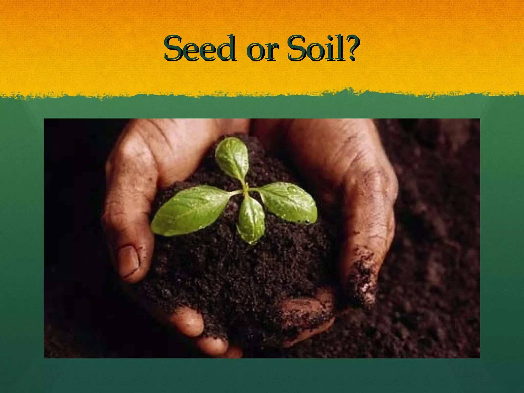Seed or Soil?
 