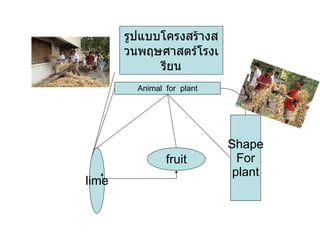 Animal  for  plant fruit lime Shape For plant รูปแบบโครงสร้างสวนพฤษศาสตร์โรงเรียน 