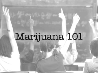Marijuana 101
 