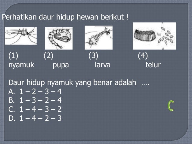 Presentation2