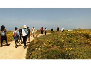 חוף נחשולים