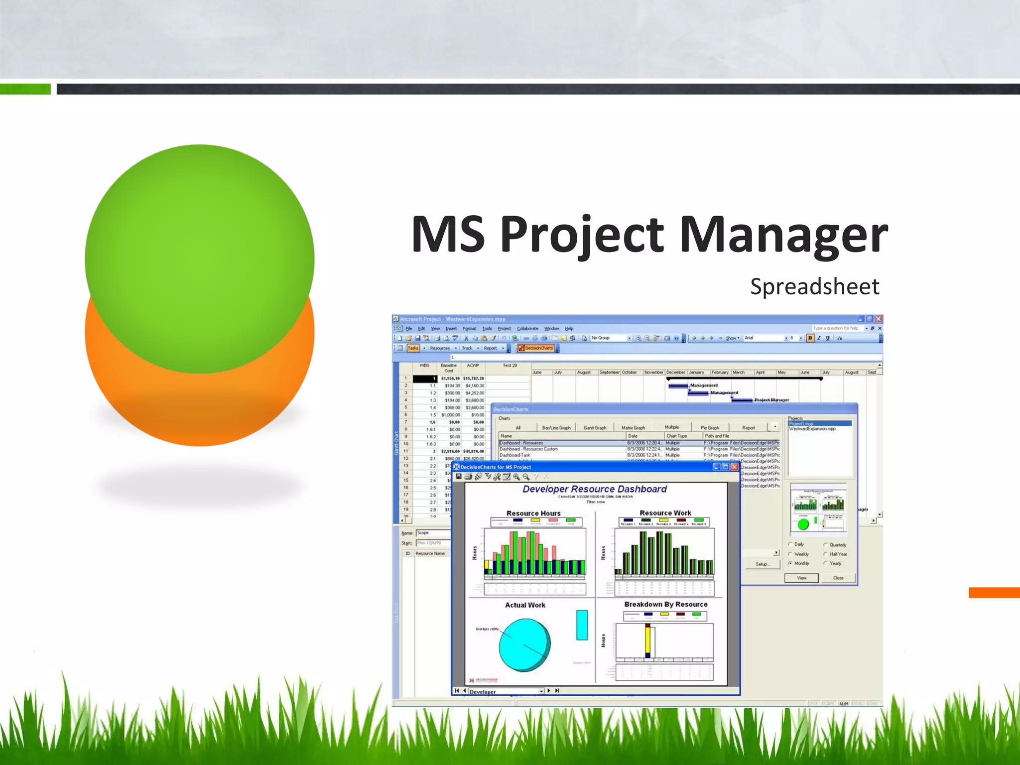MS Project Manager
Spreadsheet
 