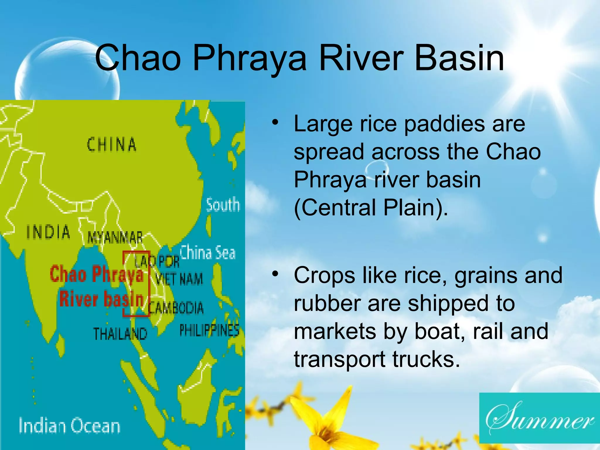 Chao Phraya River Basin
• Large rice paddies are
spread across the Chao
Phraya river basin
(Central Plain).
• Crops like rice, grains and
rubber are shipped to
markets by boat, rail and
transport trucks.
 
