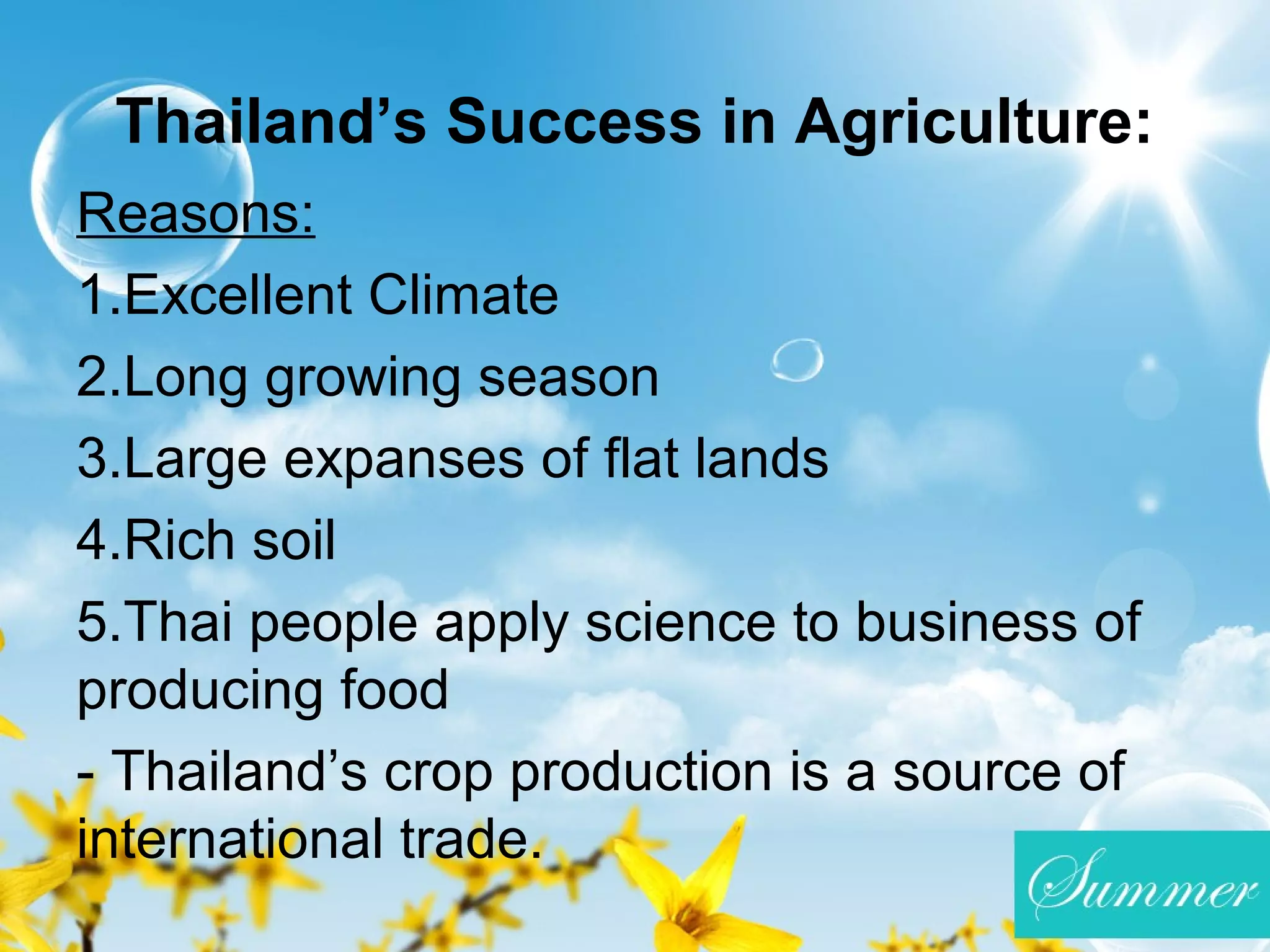 Thailand’s Success in Agriculture:
Reasons:
1.Excellent Climate
2.Long growing season
3.Large expanses of flat lands
4.Rich soil
5.Thai people apply science to business of
producing food
- Thailand’s crop production is a source of
international trade.
 