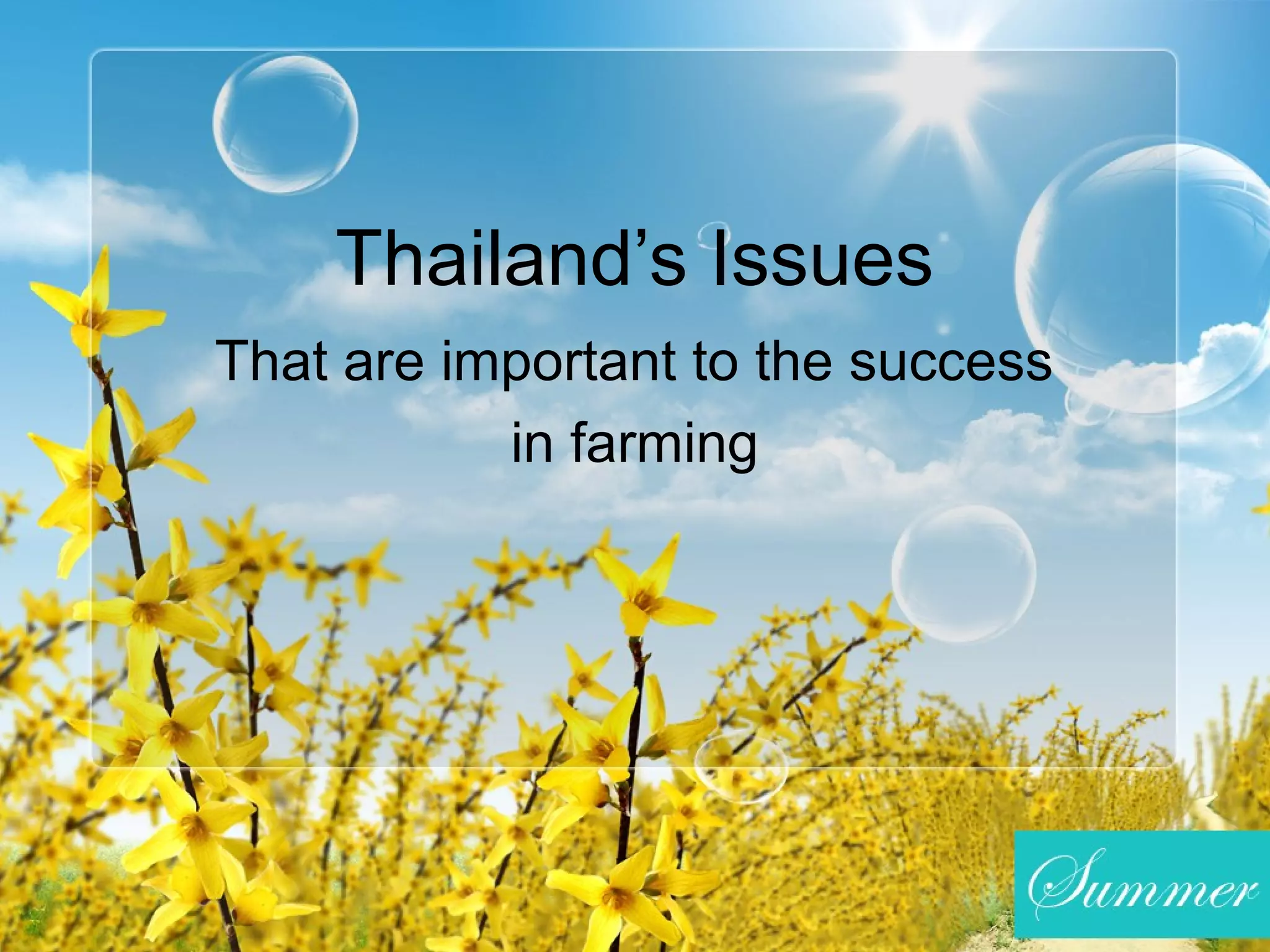 Thailand’s Issues
That are important to the success
in farming
 