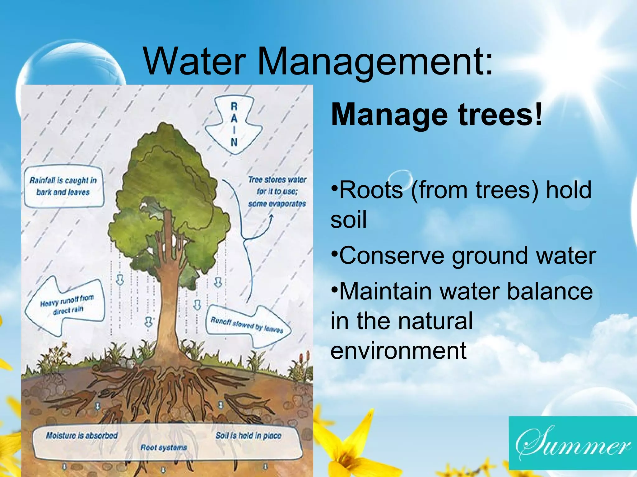 Water Management:
Manage trees!
•Roots (from trees) hold
soil
•Conserve ground water
•Maintain water balance
in the natural
environment
 
