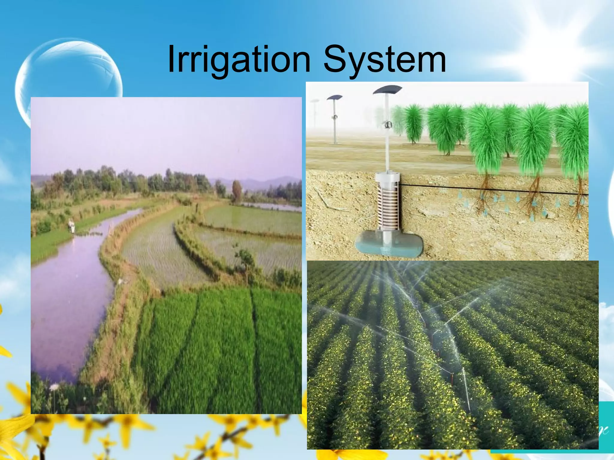 Irrigation System
 