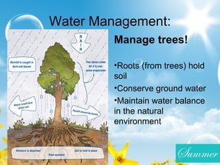Water Management:
Manage trees!
•Roots (from trees) hold
soil
•Conserve ground water
•Maintain water balance
in the natural
environment
 