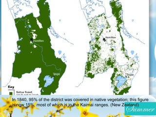 In 1840, 95% of the district was covered in native vegetation; this figure
is now 15%, most of which is in the Kaimai ranges. (New Zealand)
 