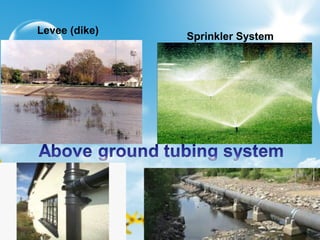 Sprinkler System
Levee (dike)
 