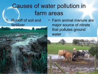 Causes of water pollution in
farm areas
1. Runoff of soil and
fertilizer
• Farm animal manure are
major source of nitrate
that pollutes ground
water
 